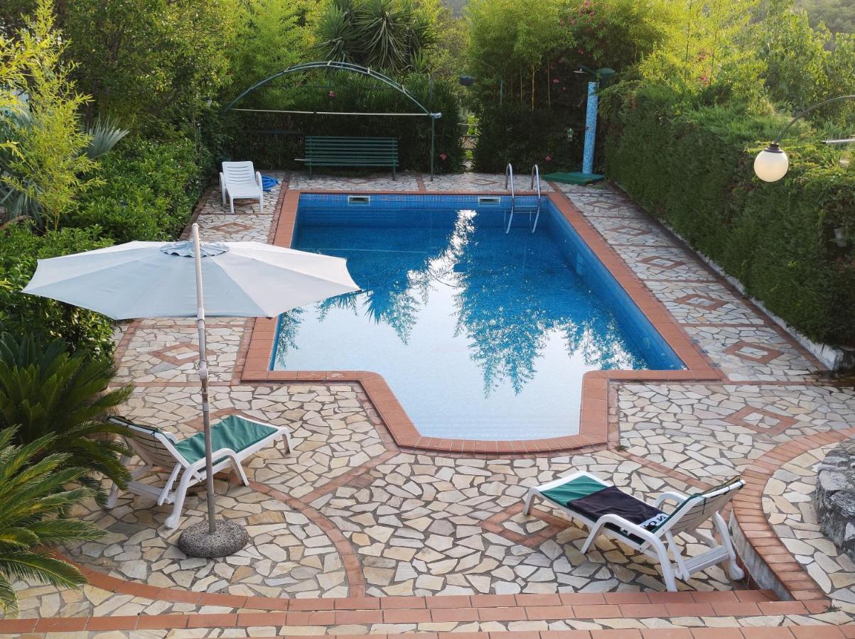 Il Cerseto Apartment Santa Domenica Talao Bagian luar foto